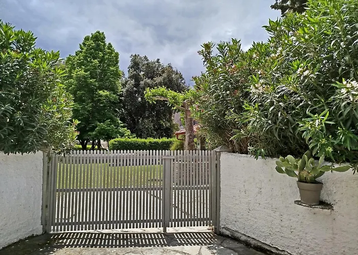 Spitaki